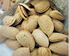 تصویر 2 از بادام سنگی با قیمت مناسب